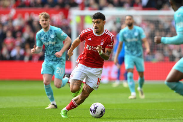 球迷的热烈 球迷的热烈