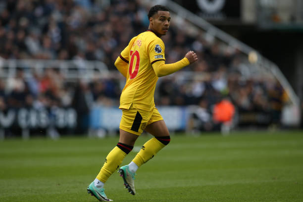 而是希望通 而是希望通